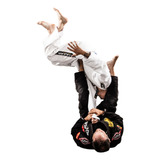 Systematically The Att G: Half Guard Passing By Gordon Ryan