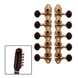 Tarraxa Viola Rozini Dourada Pino Fino Rax339gpf.sb 18 Dente