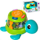 Tartaruga Bateria Com Luz E Som Linha Baby Multikids Br2093
