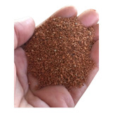 Terracota Areia Substrato Natural Aquário Peixes 20kgs