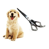Tesoura Reta Pet Shop Banho E Tosa Cães Gatos