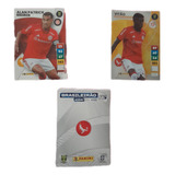 Todos 19 Cards/figurinhas Do Inter Rs,camp Bras 2023 Panini