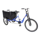 Triciclo De Carga P/ 150kg Multiuso Caixa Fechada Azul