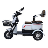 Triciclo Eletrico Duos Bike Fenix 750 Watts C/ Bau Traseiro