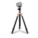 Tripé / Monopé Kingjoy Ac-288 Cabeça Ball Dourado Até 10kg