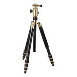 Tripé / Monopé Kingjoy Ac-288 Com Cabeça Ball Head Até 10kg Cor Preto