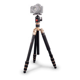 Tripé E Monopé Kingjoy Ac-258 + Cabeça Ball Head Até 10kg 