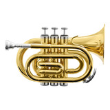 Trompete Pocket Bb Hmt-500l Laqueado Harmonics Dourado