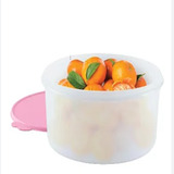 Tupperware Porta Tudo 10 Litros Vasilha Grande C/ Tampa