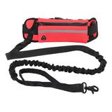 Um Celular Para Passear Com Cães Pocket Sports Multifunction