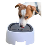 Vasilha Prática De Pets 1 Litro Inteligente Recipiente Água 