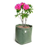 Vaso De Flores 11 Litros Feltro Decoração Plantas King Pot Cor Verde