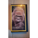 Vhs National Geographic Video O Gorila Urbano