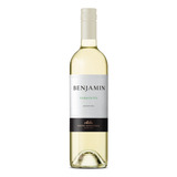 Vinho Benjamin Nieto Senetiner Torrontés Branco 750ml