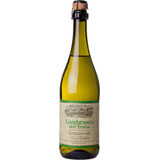 Vinho Espumante Italiano Lambrusco 750ml Villa Giada