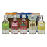 Vodka Absolut Miniatura De Bebida (5 X 50ml) - Kit Com 5 