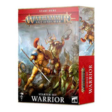 Warhammer Age Of Sigmar Warrior Box Starter Set Games Worksh