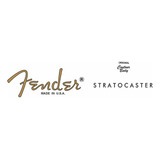 Waterslide Decal Fender Stratocaster Telecaster Jazz Bass