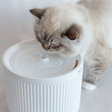  Woolie Bebedouro Fonte Para Gatos Bivolt - Silencioso